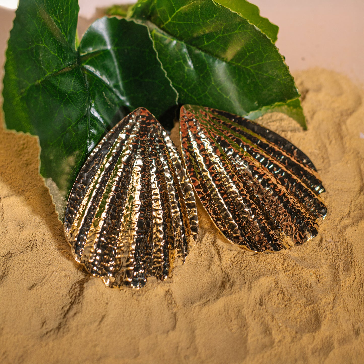 Aretes concha